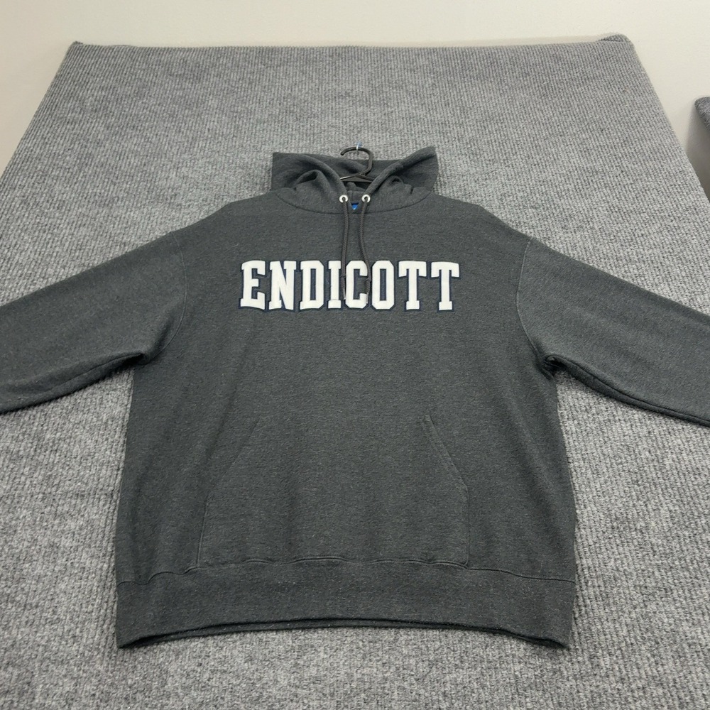 Endicott Champion Hoodie Mens L Charcoal Fleece Collegiate Streetwear